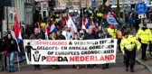 Rotterdam Belediyesi'nden Skandal İzin: Cami Önünde Domuz Çevirmek Serbest