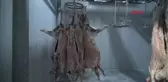 Tunceli Tunceli'nin Tek Mezbahanesi, Kapanma Tehlikesi ile Karşı Karşıya