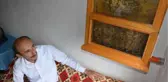 Meraklı Adam, Evin Odasındaki Cam Kovanda Arıların Bal Yapmasını İzliyor