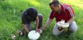 Erzurum Dev Mantarlar Şaşırtıyor