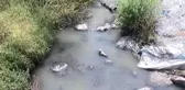 Bağlar Deresi Vatandaş ile Organize Sanayinin Arasını Açtı- Kesirven Sakinleri Osb'ye Kızgın-...