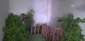 İpek Böcekçiliğine 