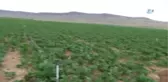Karaman'da İlk Kez Oluşan Obruk Korkuttu
