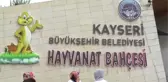 Kayseri Hayvanat Bahçesi'nde Bayram Yoğunluğu