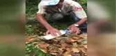 Bartın Aracın Çarptığı Köpek Emekli Madencinin Çabalarına Rağmen Öldü