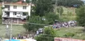 Minik Rüzgar Son Yolculuğuna Uğurlandı