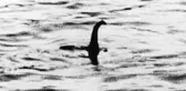 Bilim İnsanları, Loch Ness Gölü Canavarını Bulmak İçin Harekete Geçti