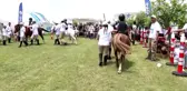 Pony Club Şehrinize Geliyor