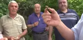 Yaprağı Meyvesinden 10 Kat Değerli