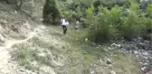 Boyabat'taki Göletlere Balık Bırakıldı
