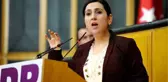 Figen Yüksekdağ, Cezaevinden İlk Kez Fotoğraf Paylaştı