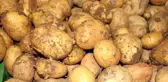 Bakan Fakıbaba'dan Patates Çıkışı: 50 Kuruşluk Ürünü 6 TL'ye Yedirenden Hesap Soracağız