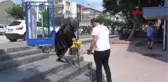 Balıkesir'de Oy Verme İşlemi Devam Ediyor Hd