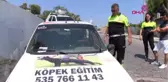 Antalya Otomobilde Aç, Susuz ve Havasız Bırakılan Köpeği Polis Kurtardı Hd