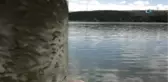 Başkent Gölleri 'Balık' Üretecek
