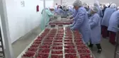 Kiraz İhracatı Tarihi Rekora Koşuyor