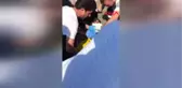 Trabzon Hayrat'ta Kamyonet Dereye Uçtu 7 Yaralı