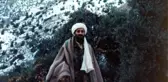 Hayvanların Adli Olayları Çözmesi Akıllara 