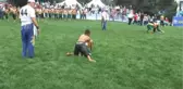 8'inci Geleneksel Yağlı Güreş Etkinlikleri Başladı