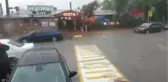Bartın Kafkasör Yaylası'nda Boğa Güreşleri Nefes Kesti