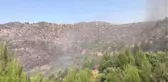 Kahramanmaraş'ta Orman Yangını