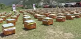 Tika'dan Makedonya'da Arıcılığın Geliştirilmesine Destek - Debre