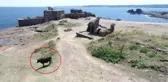 Boğaz'ın İncisi Rumeli Feneri Kalesi, İneklere Terk Edildi