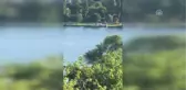 Haliç'in Sevimli Misafirleri Yunuslar