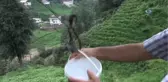 Suya Ulaşabilmek İçin Teleferik Yaptı