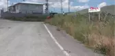 Erzurum Katil Ayı Arıbahçe Köyünün Kabusu Oldu