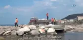 Koku Gelen Kumkapı Sahili Temizlenmeye Başladı