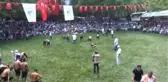 Yağlı Güreşlerde Güldüren Kareler
