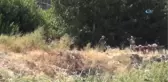 Kayıp Yusuf'u Arama Çalışmaları 10. Gününde