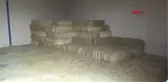 Tokat Hibeyle Kurduğu İşletmede Keçi Eti ve Sütü Üretiyor Hd