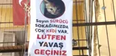 Mahallenin Fahri Trafik Polisi Ayşe Kaya Sokak Kedilerini Böyle Koruyor