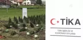 Sırbistan'da 15 Temmuz Şehitleri İçin 251 Findan Dikildi