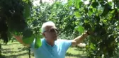 Fındık Üreticisine Hasat Uyarısı