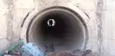 Filistinli Öğrenciler İsrail'in Yıkım Tehdidine 