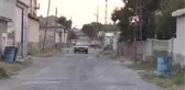 Mahallenin Kedileri Muhtar Yolu Bekliyor