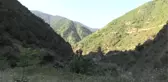 Gümüşhane'de Terör Operasyonu (2)