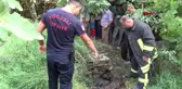 Kocaeli Su Kuyusuna Düşen İnek Boğularak Telef Oldu Hd