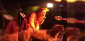 Bir Anda Sahneye Çıkan Sokak Köpeği Leman Sam'a Eşlik Etti