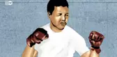 Mandela'nın Özgürlük Mücadelesi