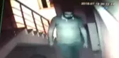 Çalınan Kedilerini Dedektif Gibi İz Sürüp Buldular