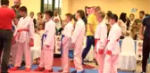 Uluslararası Dekai-do Karate Turnuvası Denizli'de Başladı- Turnuvaya 9 Ülke ve 20 Kentten 844...