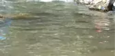 Vatandaşlar Bunaltıcı Sıcaklarda Mesire Alanlarına Akın Etti