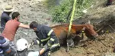 Güç de Olsa Kurtarıldı
