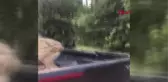 Sivas Gözyaşlarıyla Tedaviye Gönderdiği Köpeğini Mutlulukla Karşıladı Hd
