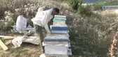 Akdağ Balı, Anzer Balına Rakip