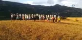 Kapıkaya Festivali'nde İlginç Evlilik Teklifi... Paraşütle Atlayan Genç Kıza Erkek Arkadaşı Sürpriz...